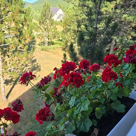 Chalet Blidinjska Idila *